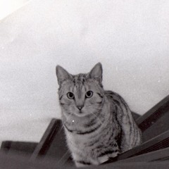 Elli