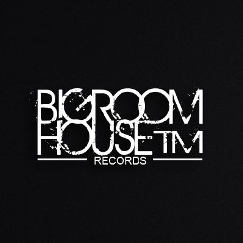 Stream BigRoom House Records music | Listen to songs ...