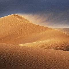 wild wind