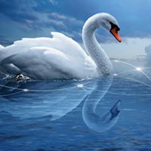 Unknown artist - جيتار2.m4r