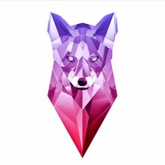 VOLKOVツツSASHA-