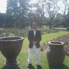 Hamid Shah