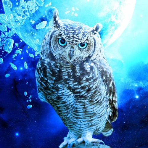 Lonekiwibird’s avatar