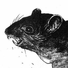 Doomed User 32143212