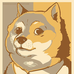 President Doge