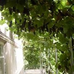 Людмила Коркодел