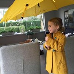 Matthijs van Drimmelen