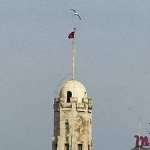 müslüm gürses