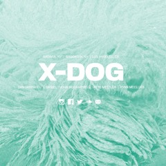 X-DOG