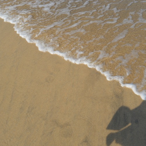 The Optician of Lampedusa