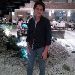 nikittt