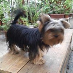 Alejandra Diiaz Vargas