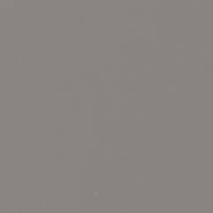 boomslangfrostspider