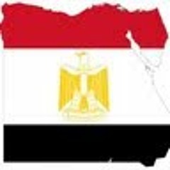 Sayed Almeldin