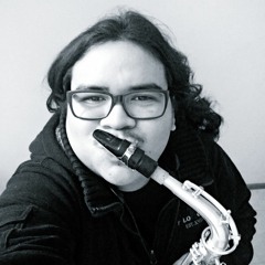 Pallino Sebastian Loyola Castillo