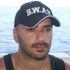 meir mardo