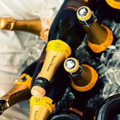 High off Veuve Cliquot