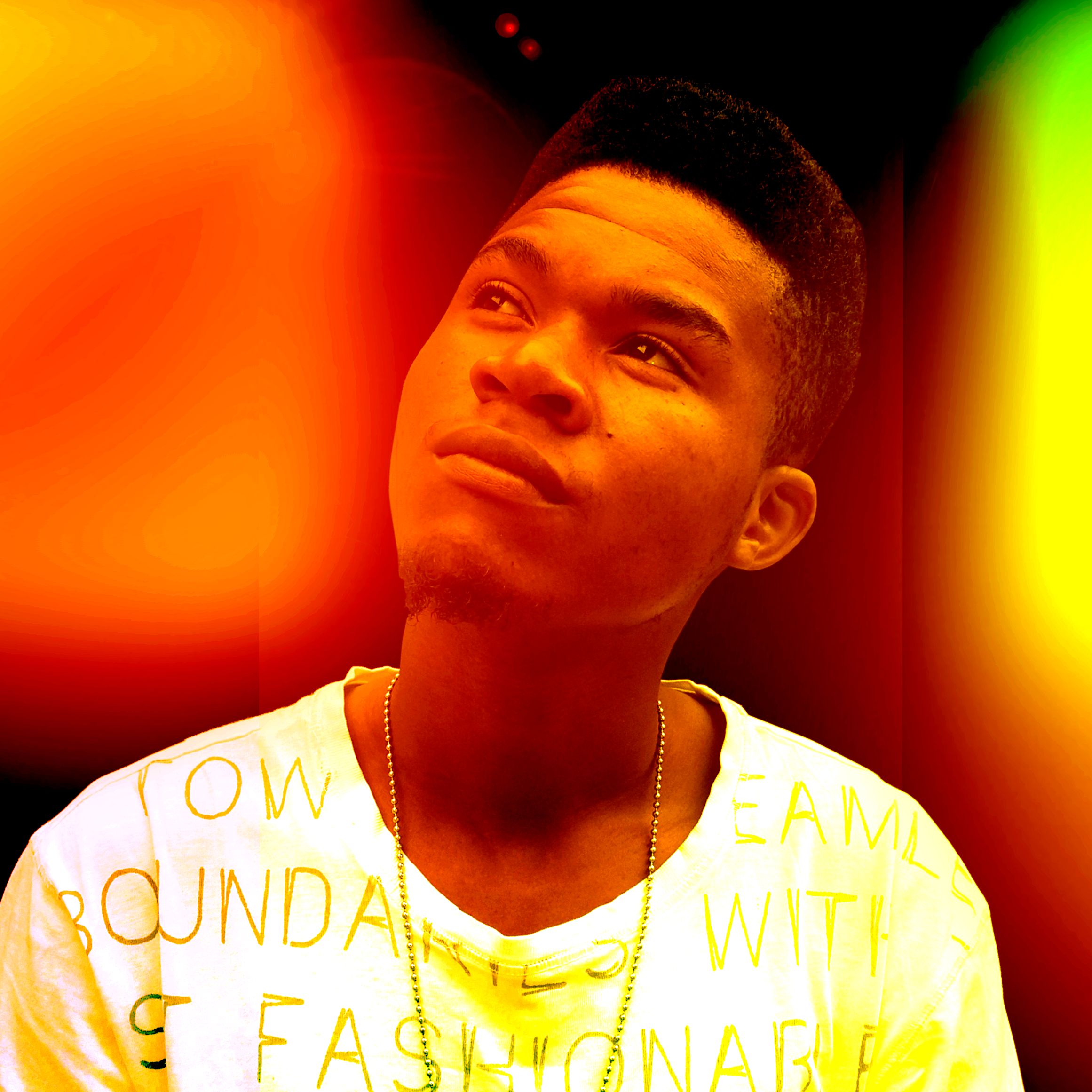 P.F.P THE KING cover art