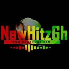 Newhitz GH