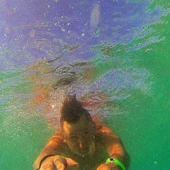 noys