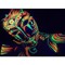 user1906732