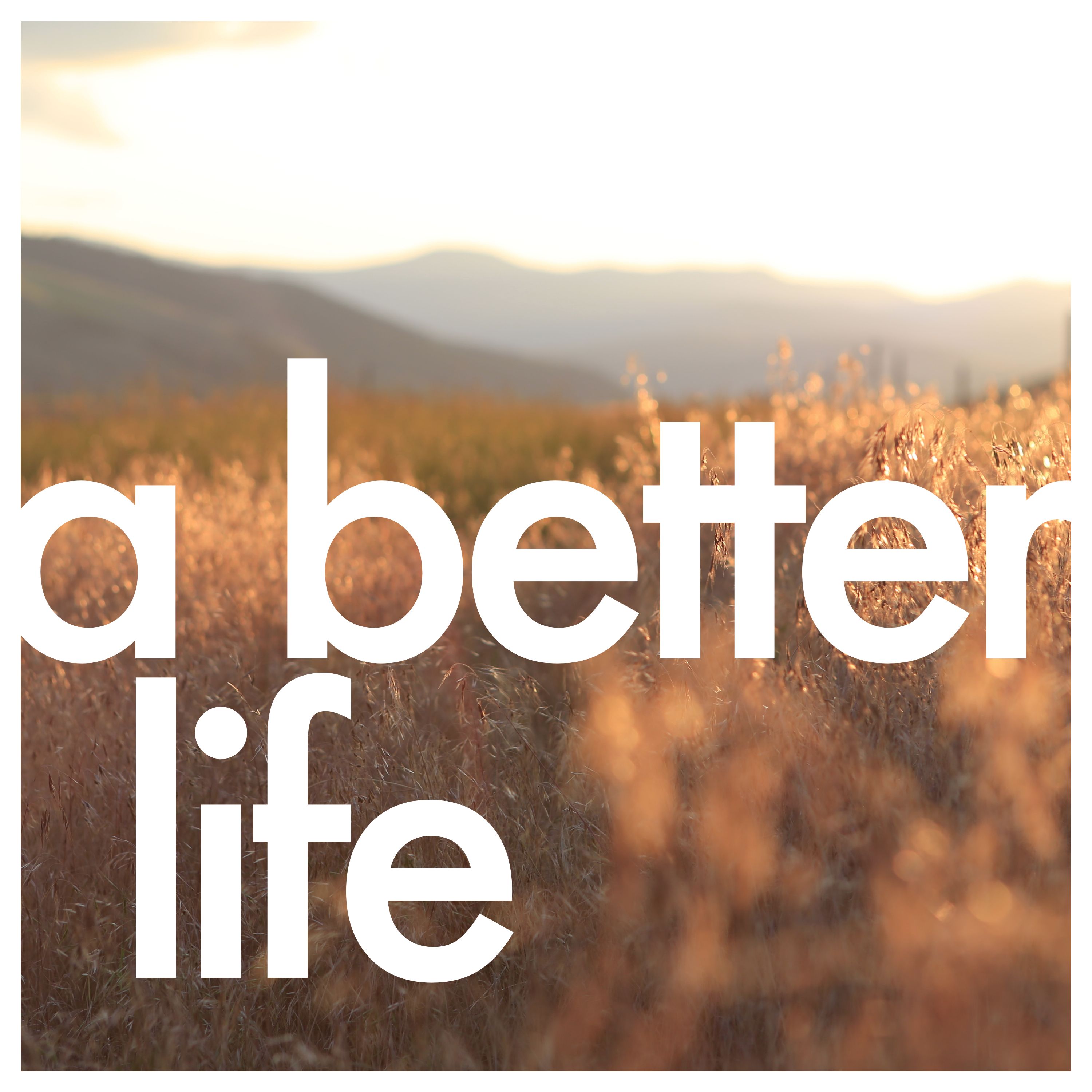Stream A Better Life | Listen to podcast episodes online for free on  SoundCloud