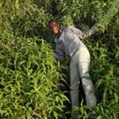 علاء مصطفى الحاج