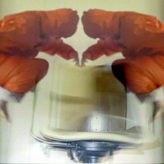 Microwave Mayonaisse