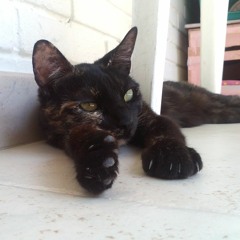 Aldaso