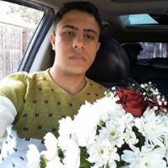 عمار حمدان لولو