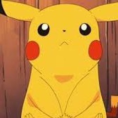 mlgmaster10aminecraft role