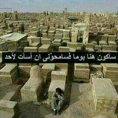 Manar Mosallam