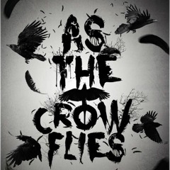 As The Crow Flies