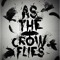 As The Crow Flies