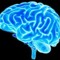 BrainTune