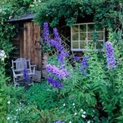 Esmeralda Loyden S