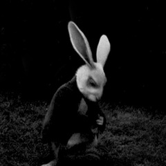 chasing rabbits b-sides