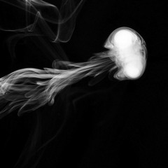 Chuckyy- Can't Save Me (Feat. Thy Yungin)