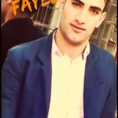 Ahmed Fayed