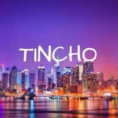 Tincho