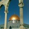 الحق المر