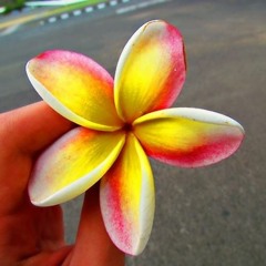 Annacely Olivos ~ Lover