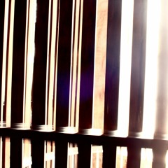 stupidfuckingtourist