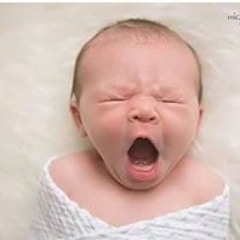 Ana Wega