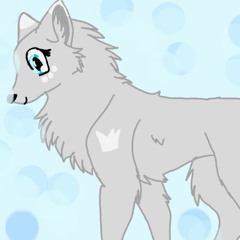 Silvy Animator