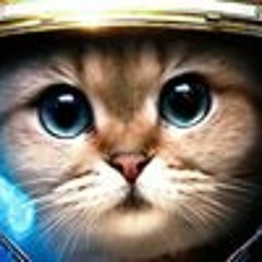Neko Protoss