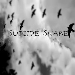 S U I C I D E  S N A R E