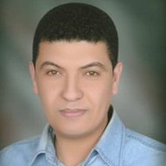 محمد عزت القيعى