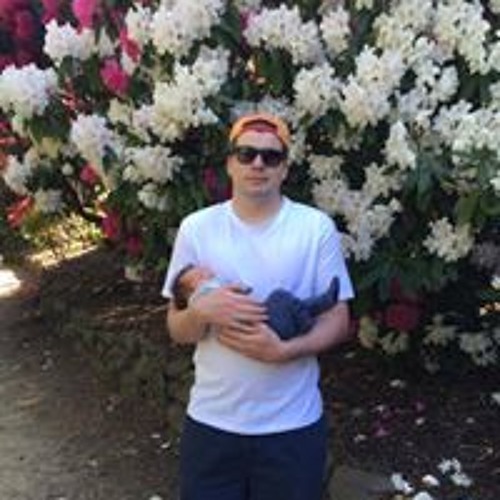 Stream Chris music | Listen to songs, albums, playlists for free on ...