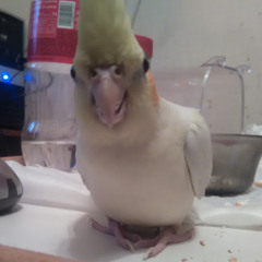 04 Cascading colours